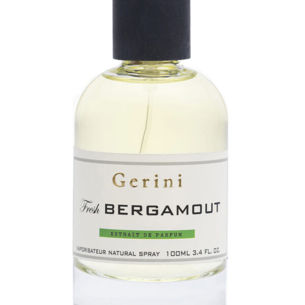 Vetiver Gerini Perfume by Gerini for Unisex UAE