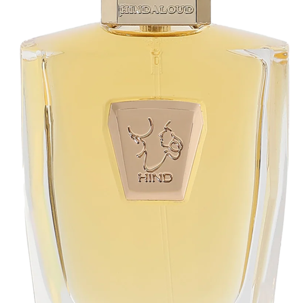 Dubai Mist Hind Al Oud Perfume by Hind Al Oud for Unisex UAE