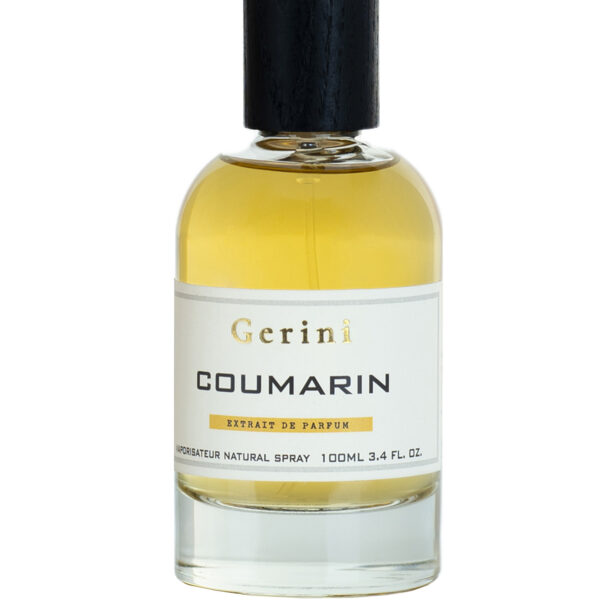 Vetiver Gerini Perfume by Gerini for Unisex UAE