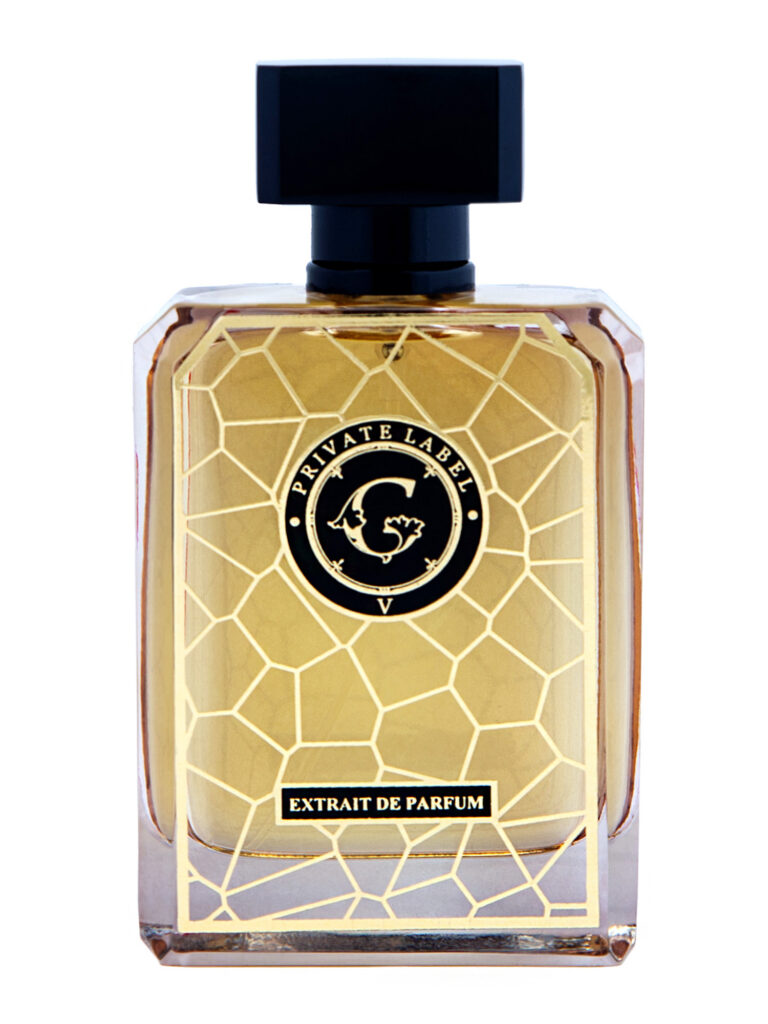 Private Label V Gerini Perfume by Gerini for Unisex UAE