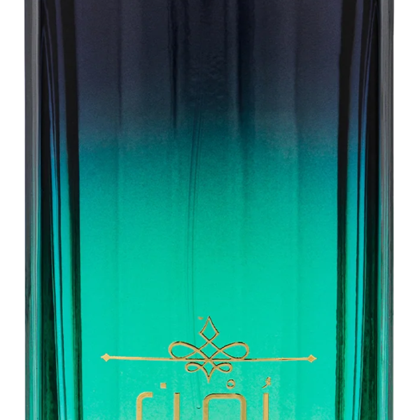 Yumn Pour Femme Rasasi perfume