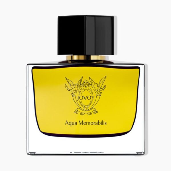 Jovoy Paris Private Label Perfume by Jovoy Paris for unisex UAE