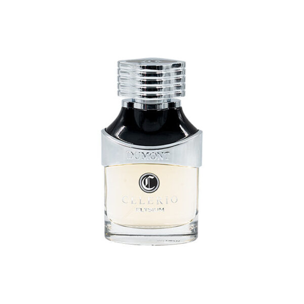 Nitro Elixir Dumont Perfume by Dumont for Men UAE