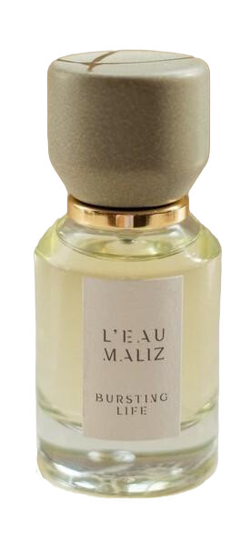 Church Bells L'Eau Maliz L Eau Maliz Perfume by L Eau Maliz for Unisex UAE