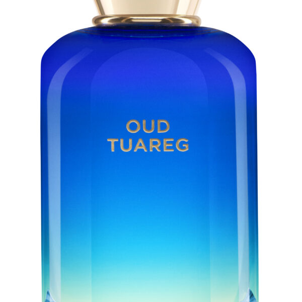 Oud Tuareg Fabbrica Della Musa perfume